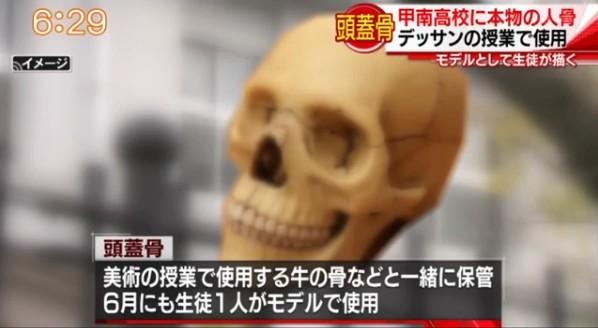 素描课用真人头骨! 日本9所高校再爆“整具骨架”盯全班上课