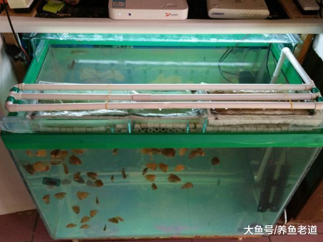 觀賞魚的生化過濾系統是否會有物理過濾的作用，這只是猜測！