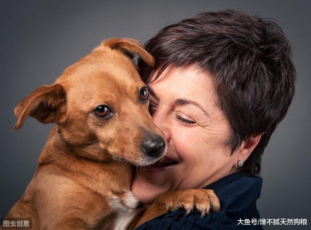 培养狗狗独立性，在家不吵闹，有这5个妙招