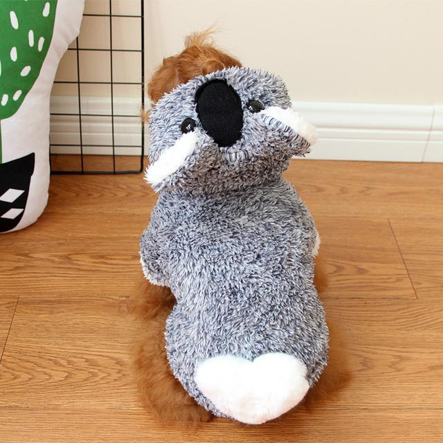 主人应该给狗狗穿衣服吗？衣服不只是为了好看，其实还有3种用处