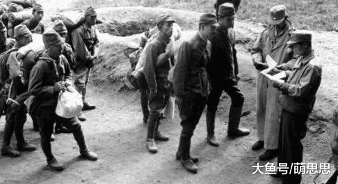 二战时期，千余日本士兵被一种动物团灭，英国士兵白捡一大便宜