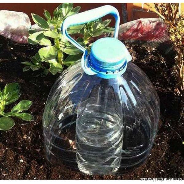家里種菜往土里插個瓶子，2個星期不澆水都能蹭蹭長，鄰居都來學