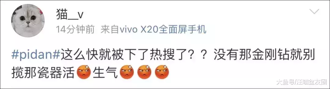 誰能想到，花150元雇人喂貓，我的貓卻成了救助對象