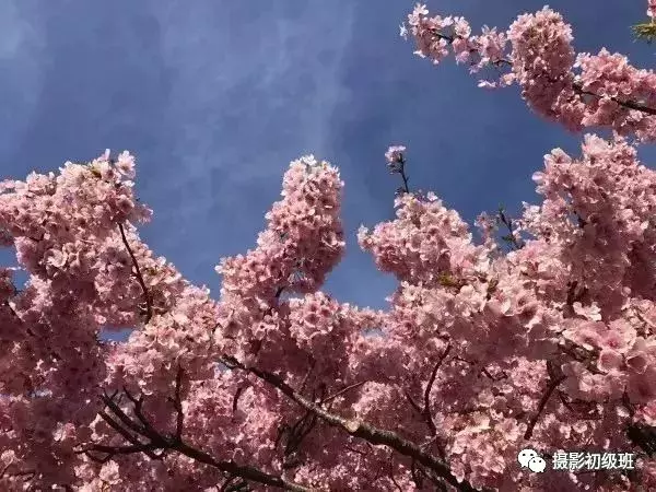 想要提升自己的手机摄影技巧, 这几个问题需要注意