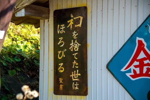 日本喵寺庙小猫众多，被誉为撸猫圣地