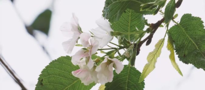 今年双11特价买学区房！上万套房源进驻！覆盖全国……