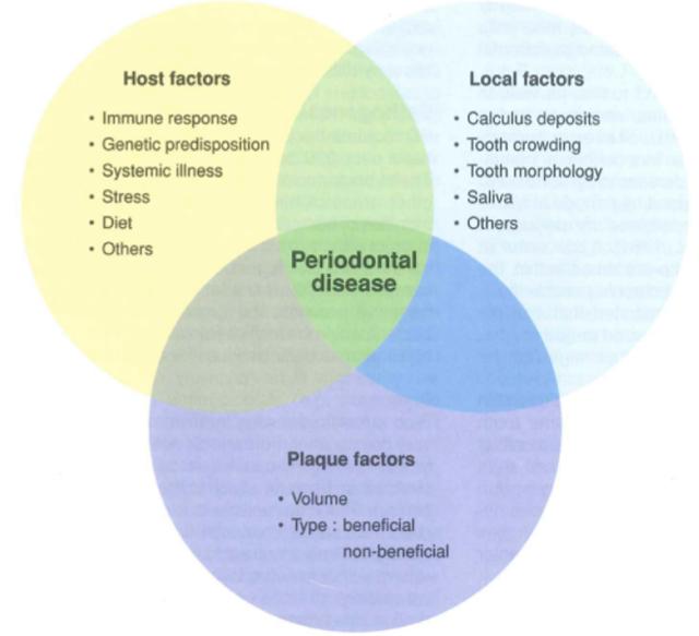 狗狗口臭，刷牙也解决不了？那可能是这些疾病的征兆