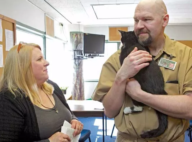 把猫送进监狱，来感化监狱犯人？事实证明，效果是杠杠的！