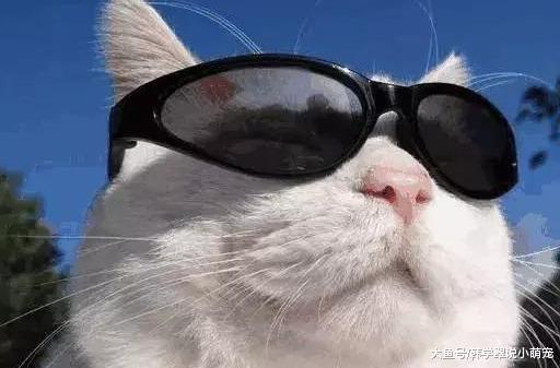 开心笑话：女同事最近和我杠上了，我网名“皇上”, 她就改……