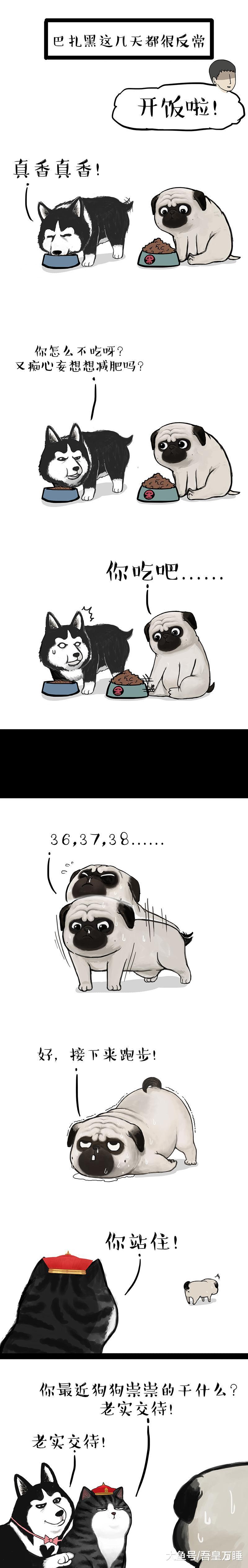 我為什么減肥，還特么不是為了你！