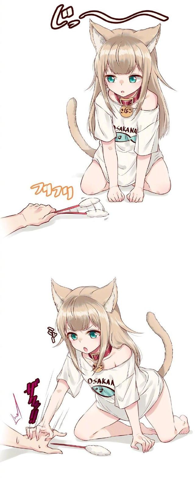 画师40原的猫咪日常 ????