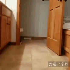 鳄鱼咬手指玩具新玩法，有点刺激