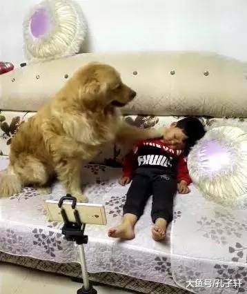 二哈第一次照顾宝宝没经验，听到哭声十分慌张，最后的举动亮了