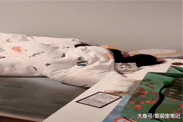 网友睡觉时去给女儿关灯，看到她被窝里的加菲猫后，心都被融化了