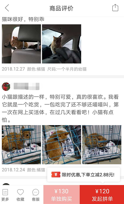 賺翻？120元在拼多多上購買中華田園貓有多可怕