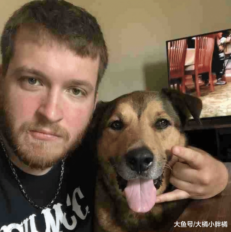 狗狗不幸两进收容所，6年半后再被小伙收养，小伙给的理由很有趣