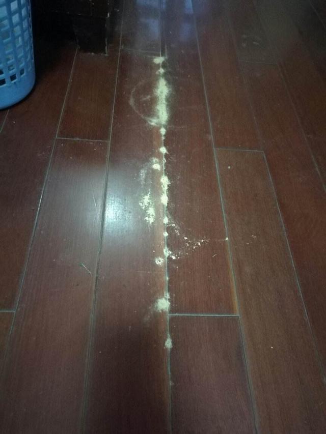 地板铺完出现开裂、变形、起拱等状况，没注意这些早晚会出问题