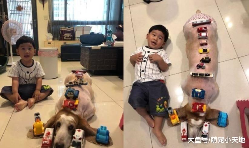 小主人不戴围兜兜，巴吉度猎犬帮忙扮成鬼修女，才让他破涕为笑