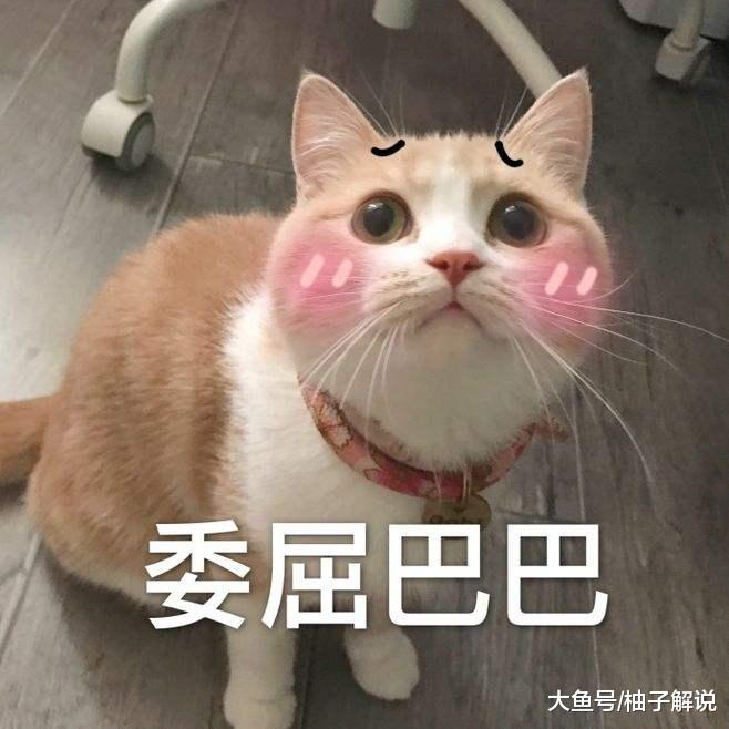 女孩带着“拖把”来医院就诊，医生表情复杂：请问哪位是患者？