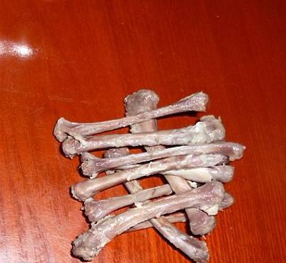 养柴犬别犯这5个“低级错误”，否则很吃亏