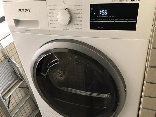 瞒着妈妈买了烘干机，刚用一次就后悔，后悔买得太晚了！