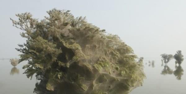 20张难以置信的照片，证明大自然无所不能！