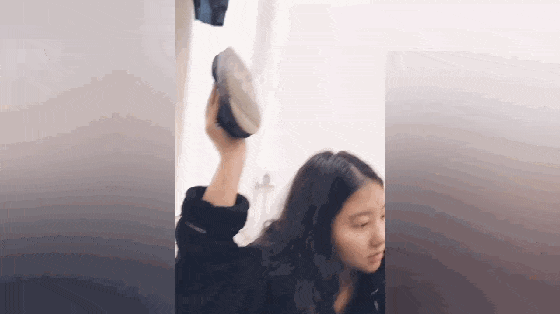 白狗在宠物店剪毛, 泰迪护在白狗身前, 泰迪: 不许欺负我媳妇儿…