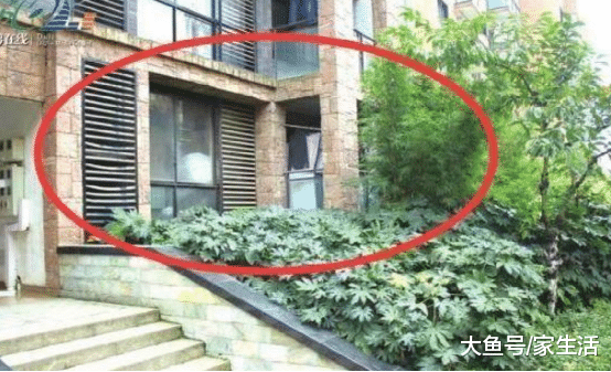 买房可不要选择一楼了，入住半年就麻烦多多，真想卖掉重新换房