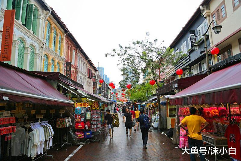 为什么新加坡20年的老房子，从不见蚊子！国人：我们也想解放双手