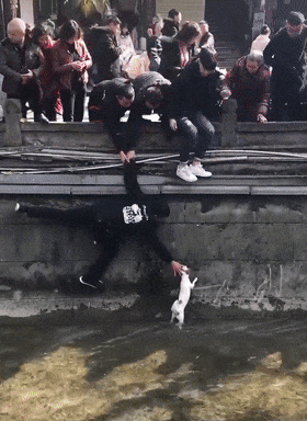 流浪狗落入河道，眾人圍觀施救，好心人的舉動暖心了……