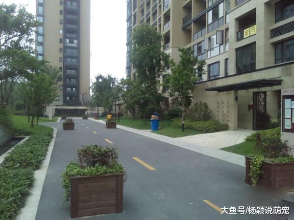 辛苦攒钱买的房，最后却被楼上居民逼的在外租房，小伙无奈只能“以牙还牙”