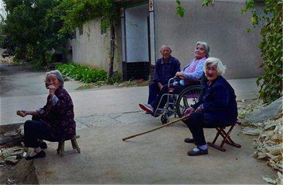 网友回老家想撸小奶狗，设下陷阱抓狗崽，狗：你不要过来……