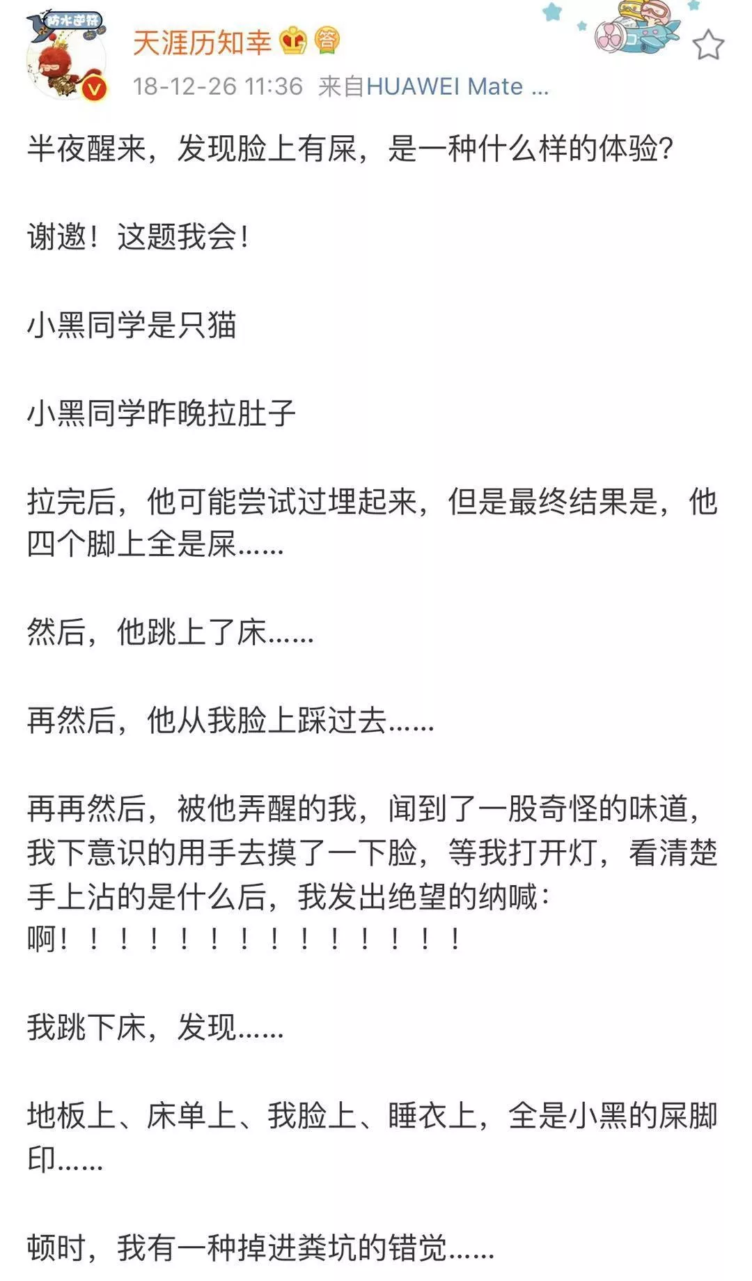 “当猫挂着屎奔向我的瞬间，我以为自己要当场窒息了…”