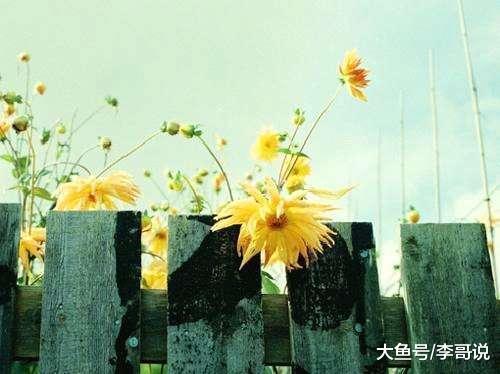 人生低谷时，尽量多睡觉，少说话，多看书