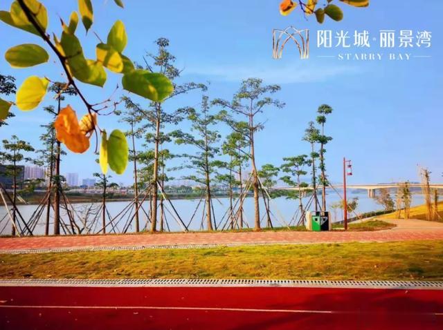 测评：龙岗江景房不多了 阳光城丽景湾收官之作值不值得？