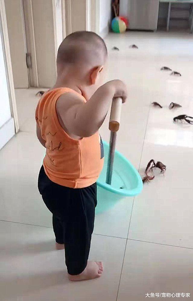 女子买了小龙虾，上个厕所的功夫，出来一看不知该打还是该笑