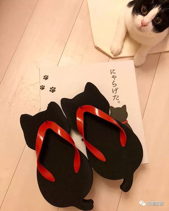 猫咪造型人字拖，少女心又要泛滥了~