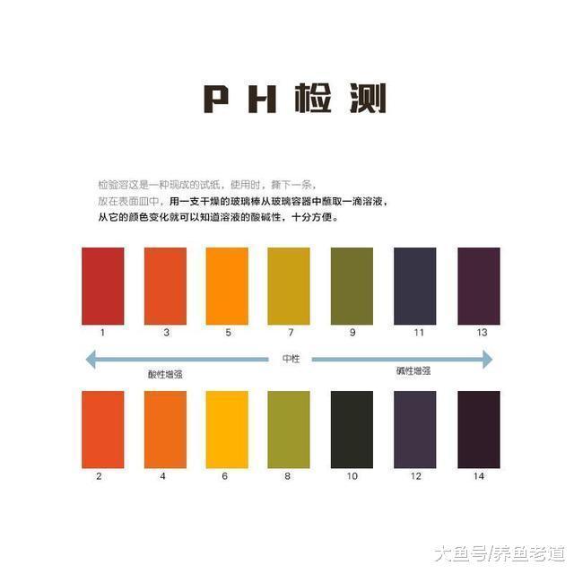 饲养普通观赏鱼不搞繁殖, 水质测试剂的用处不是很大!