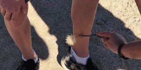 沙雕敢用蜂窝做汽车装饰