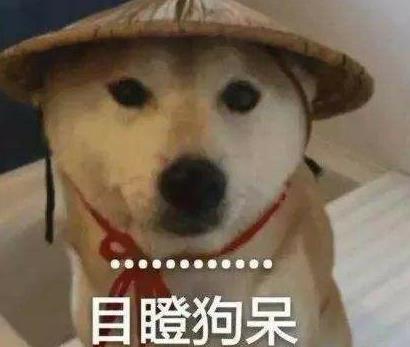 主人找不到柴犬，找到一看發現小柴正站著尿尿，小模樣笑哭主人