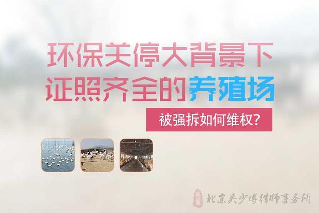 環保關停大背景下，證照齊全的養殖場被強拆如何維權？