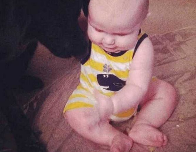 保姆给孩子喂奶, 狗狗故意打翻奶瓶, 查看监控后主人不淡定了