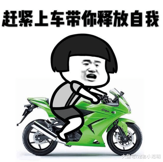 美女这穿着不知道是出来买菜的还是逛街的呀，这套睡衣似的跟脸完全不搭呀！