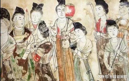 从昆仑奴、新罗婢、僧祇奴和胡姬，聊一聊唐代的外国奴隶