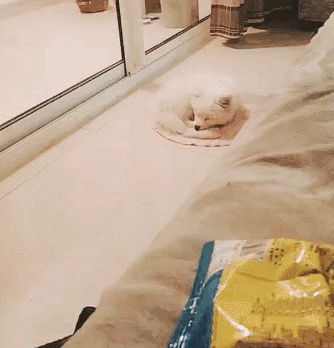 其实，动物也害怕那些技术渣的人拍的全景照片