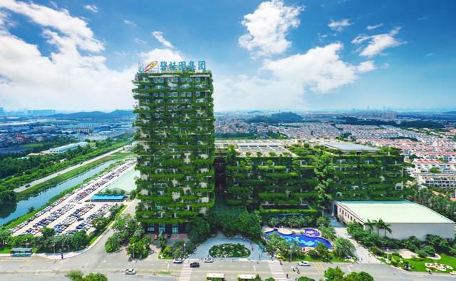 强者恒强 碧桂园上半年业绩继续领跑行业