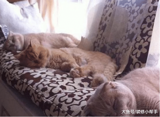 胡杏儿在香港的豪宅, 吃的饭菜真丰盛, 平时在家还会练字