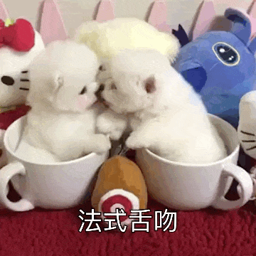 狗狗婚前婚后的变化，扎心了......