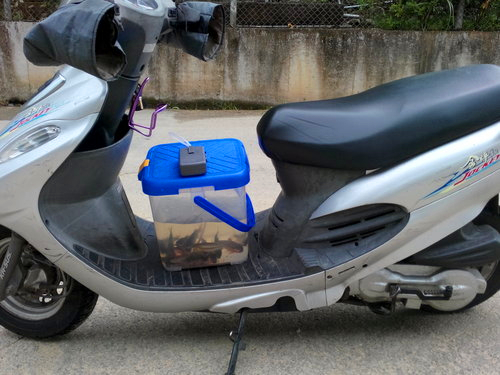 深山溪流钓，马口鱼连杆，偶遇“小青”被吓到