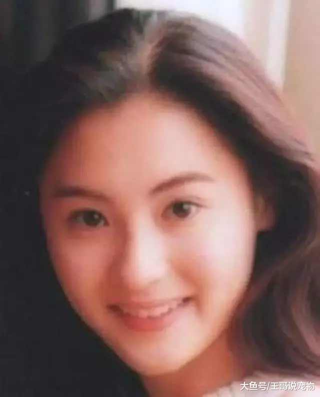 盘点女明星婴儿肥时期, 被林心如美到了, 张柏芝诠释了什么叫清纯